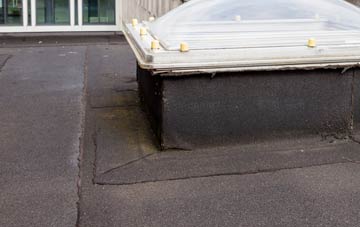 disadvantages of Frampton flat roofs