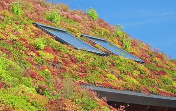 Frampton living roof systems