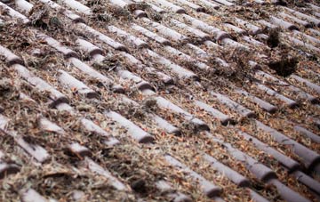 Frampton roof cleaning companies